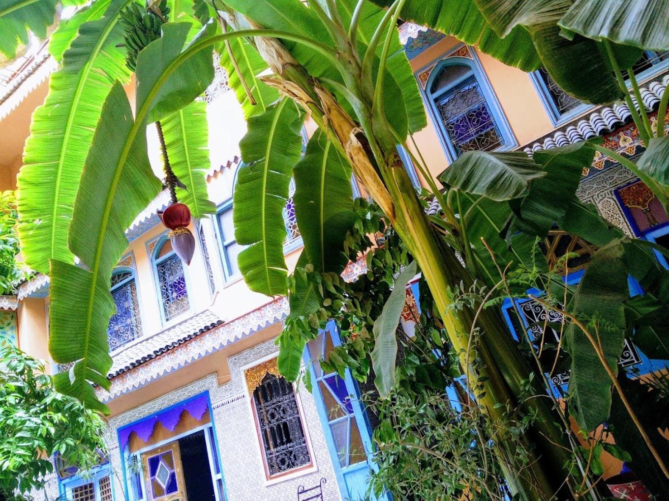 Riad Carole - Perfect For Families & Groups Marraquexe Exterior foto