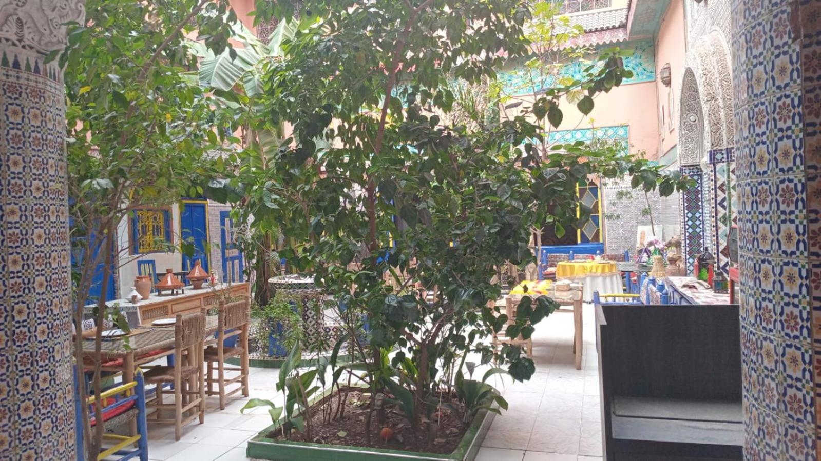Riad Carole - Perfect For Families & Groups Marraquexe Exterior foto